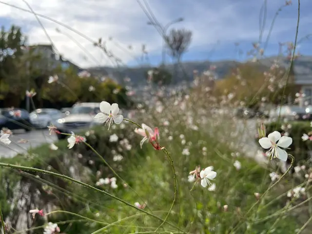 Gjirokastër
