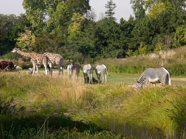 Parc de la Tete d Or