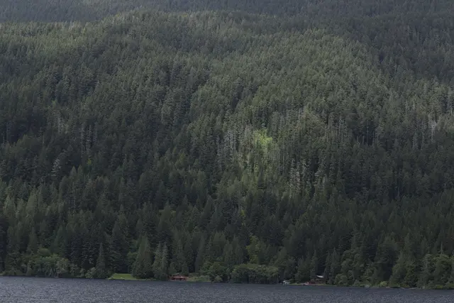 Olympic National Park