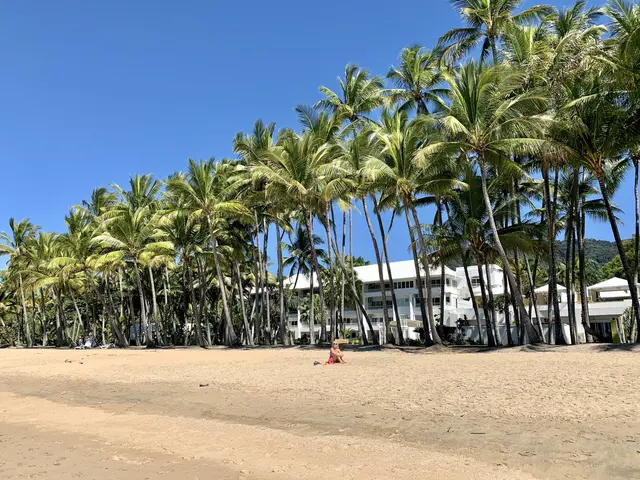 Palm Cove Beach