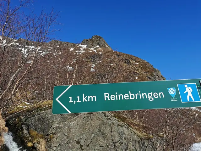 Reine