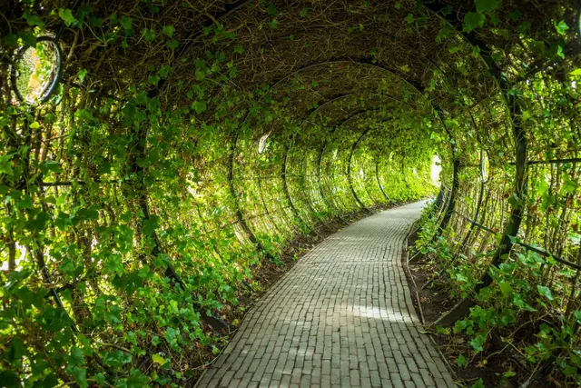 In English Garden Pathway