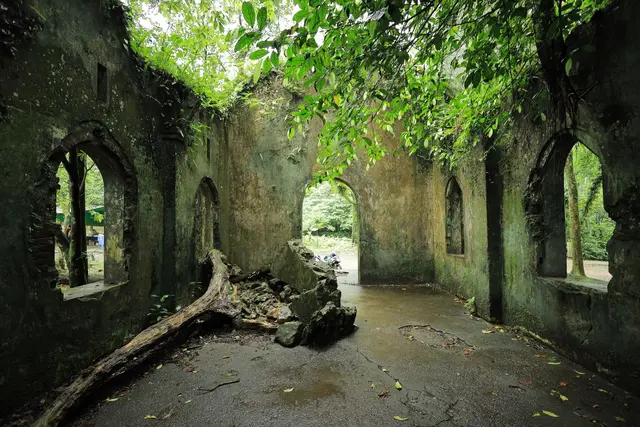 Vietnam's jungle