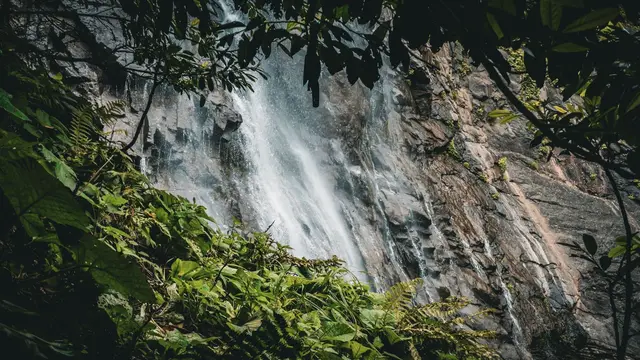 Artvin