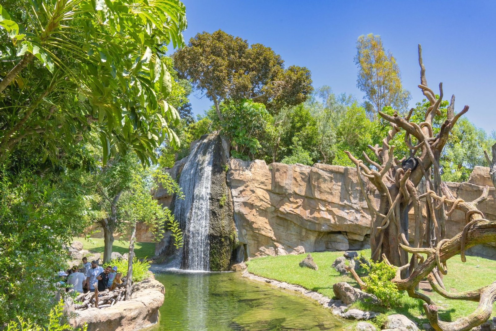 Valencia Bioparc Valencia