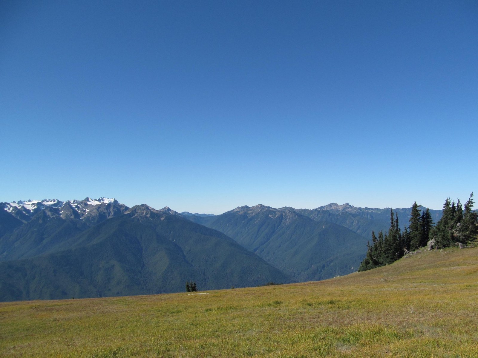 Olympic National Park