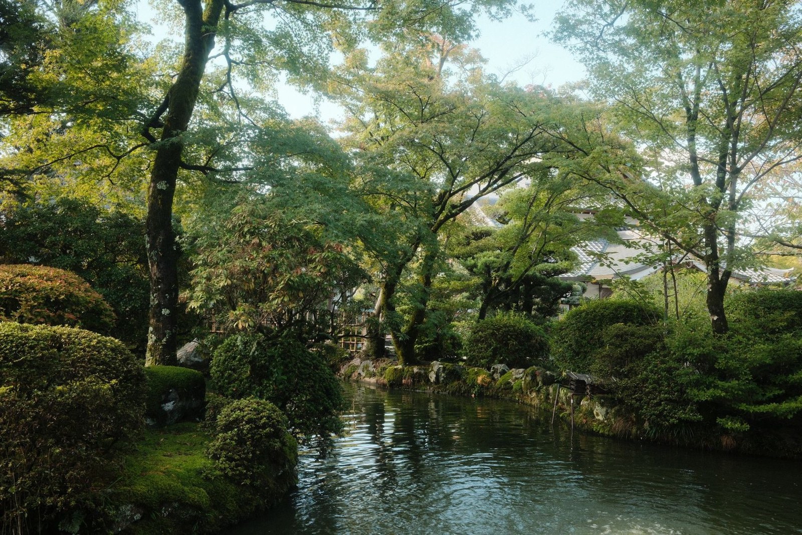 Japanese Garden
