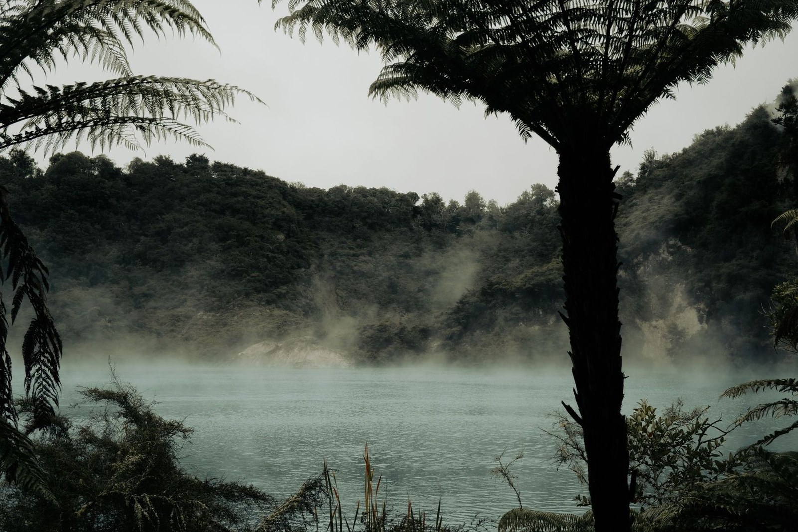 Rotorua