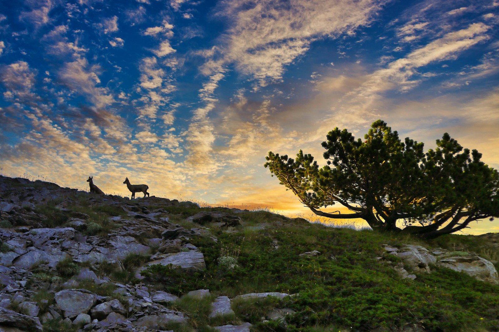 Mount Olympus