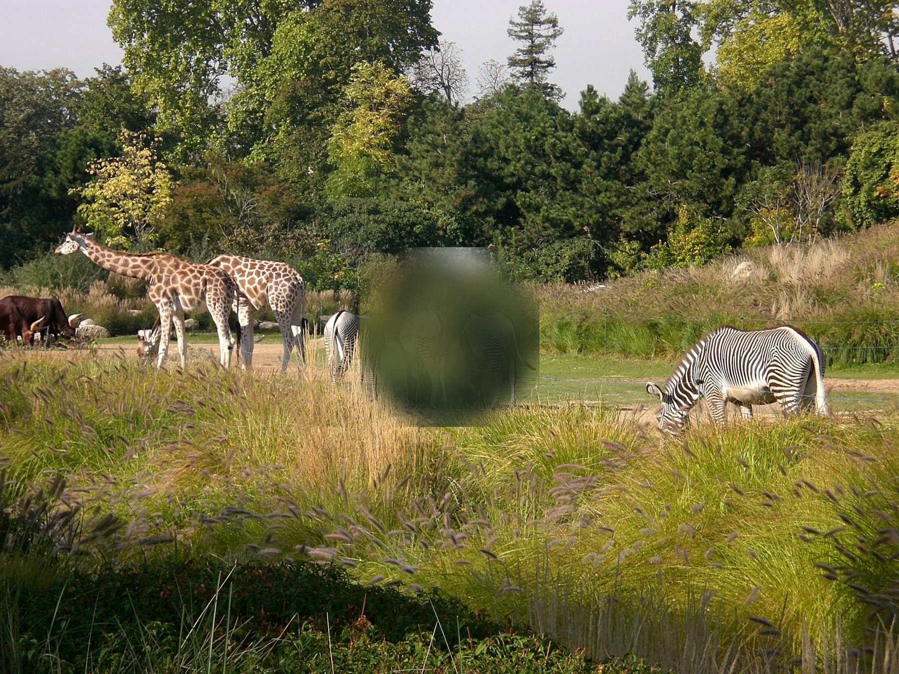 Parc de la Tete d Or
