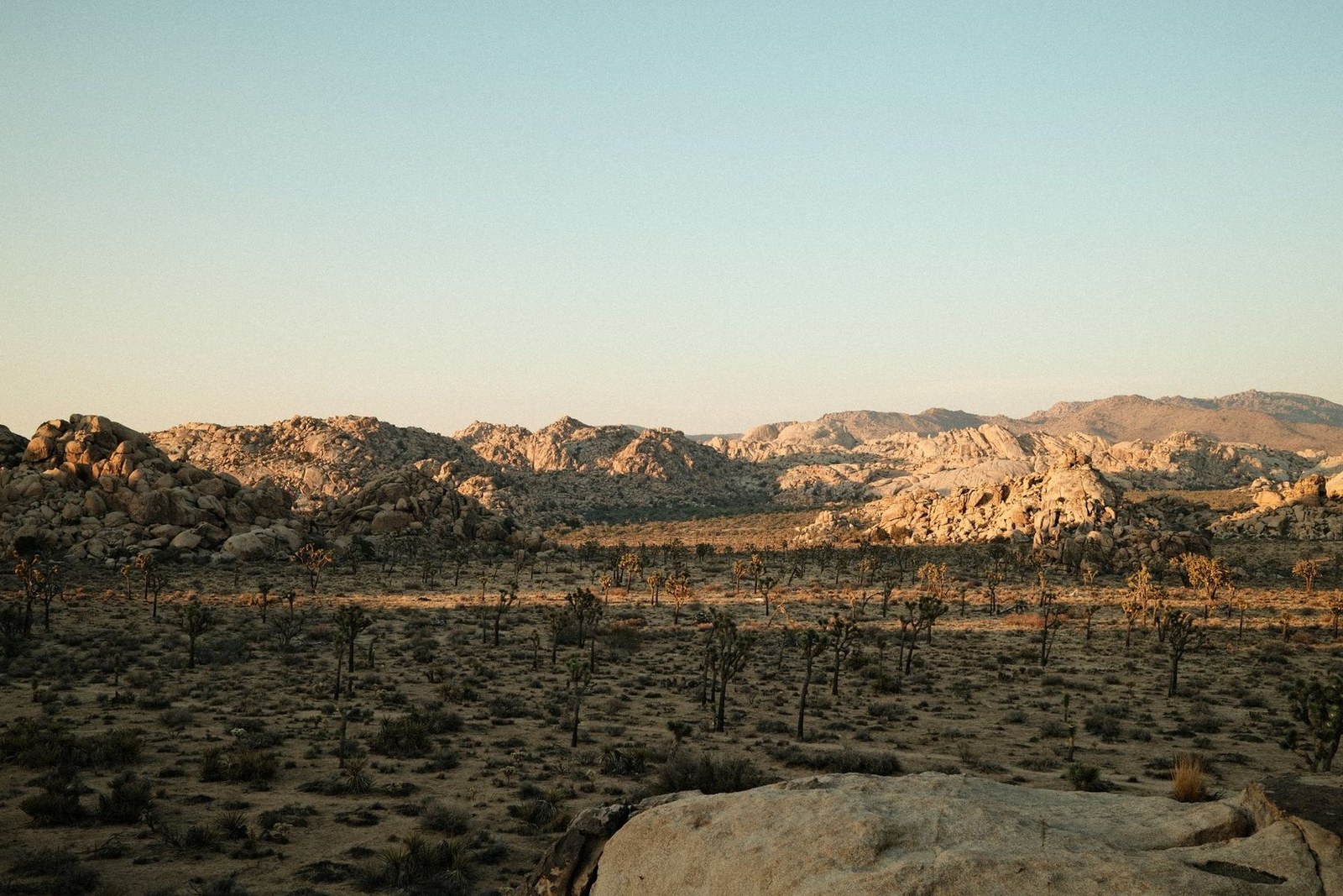 Joshua Tree National Park