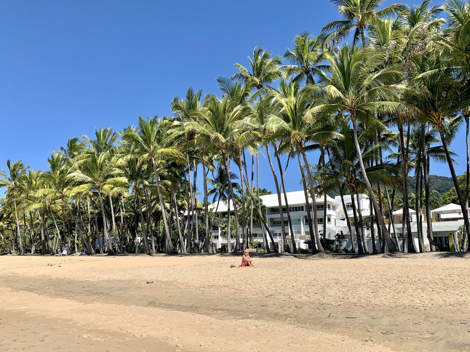 Palm Cove Beach