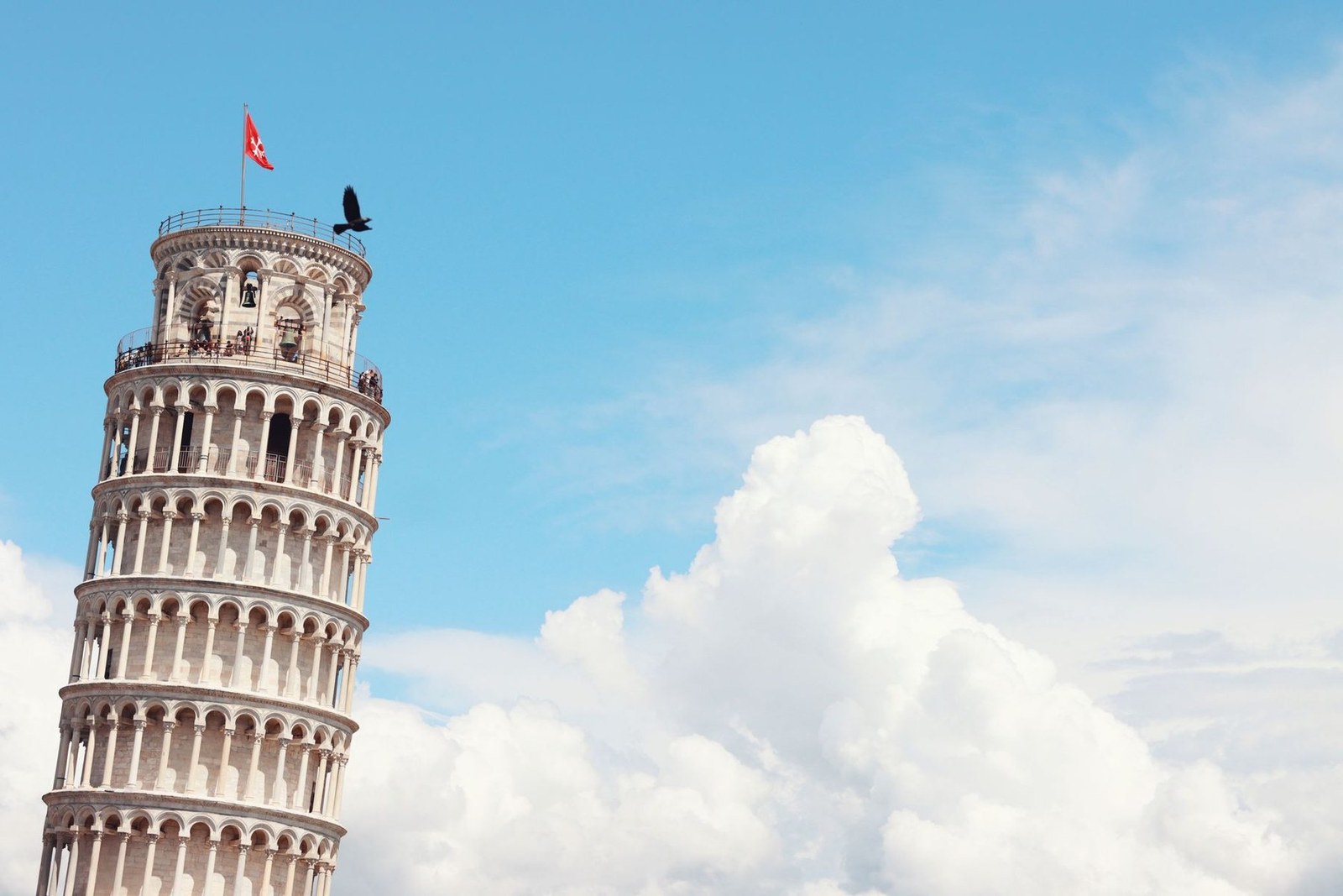Tower of Pisa (Torre di Pisa)