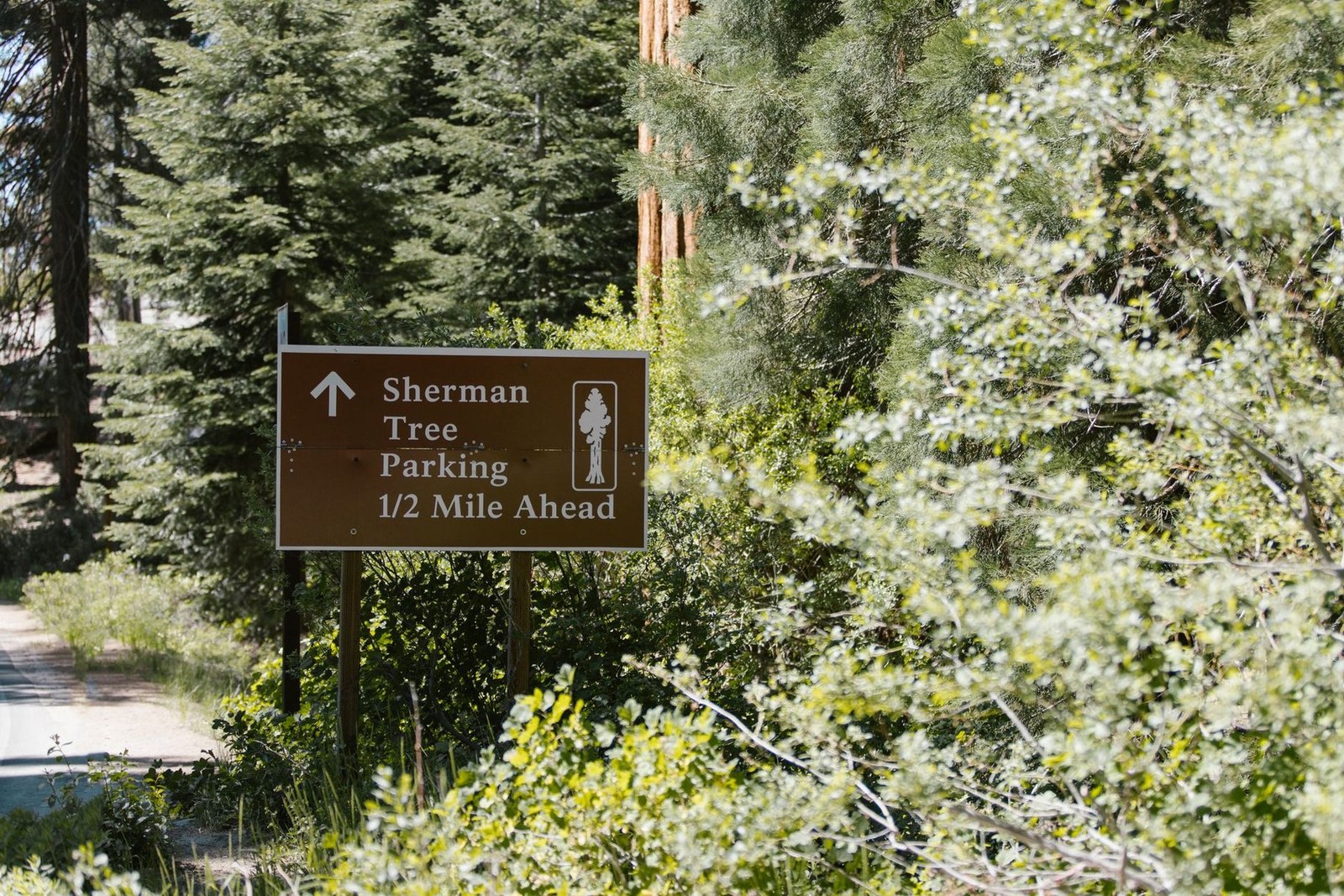 Sequoia National Park