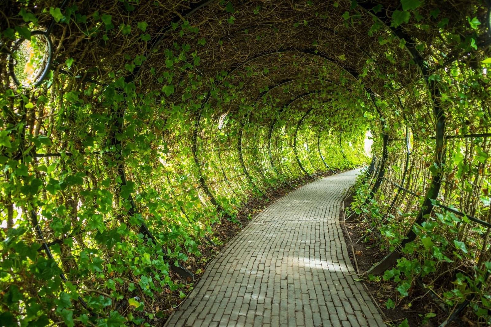 In English Garden Pathway