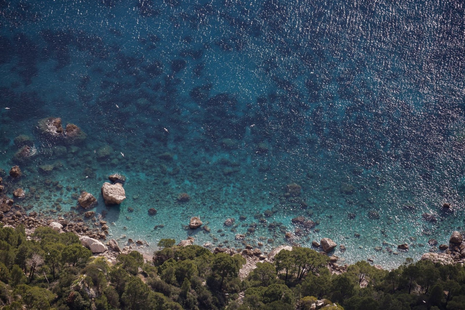 Capri