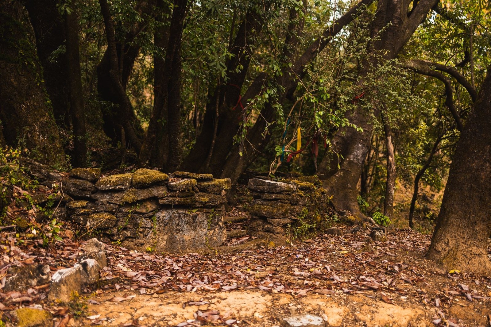 Uttarakhand
