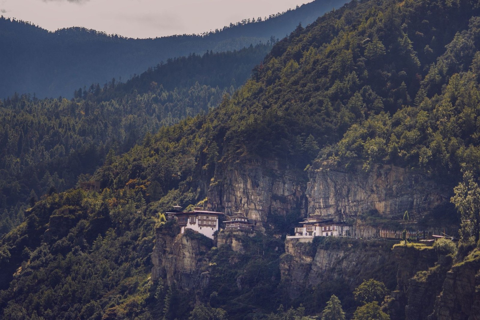 Bhutan's lush mountains